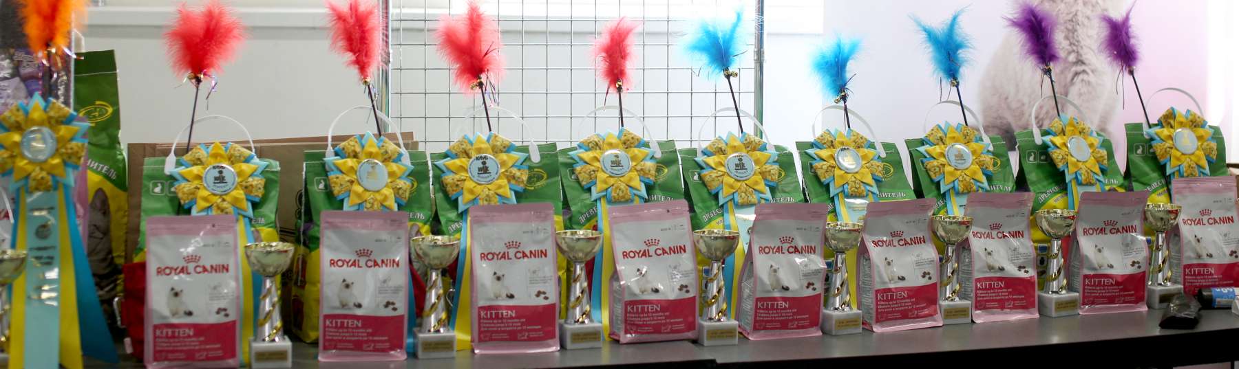 �������� ����� 11-12 ������ 2015 WCF-����� 11-169A5203 copy.jpg